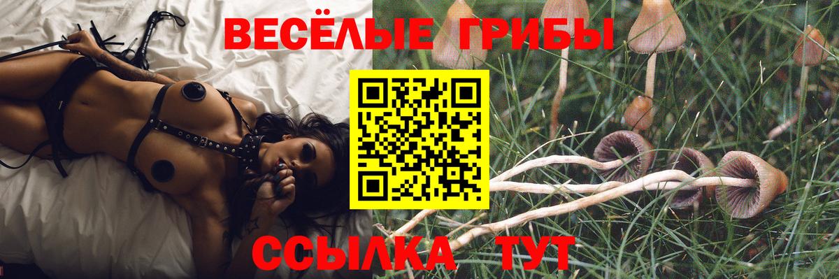 Псилоцибиновые грибы MAGIC MUSHROOMS  Вход с VPN  Галлюциногенные грибы Magic Shrooms  Белая Калитва 